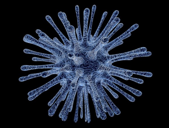 2015新型ノロウイルス「GⅡ･17」感染経路と予防対策3選